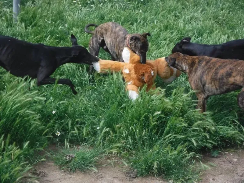 13239258 1200678789944280 5970234081050725856 n