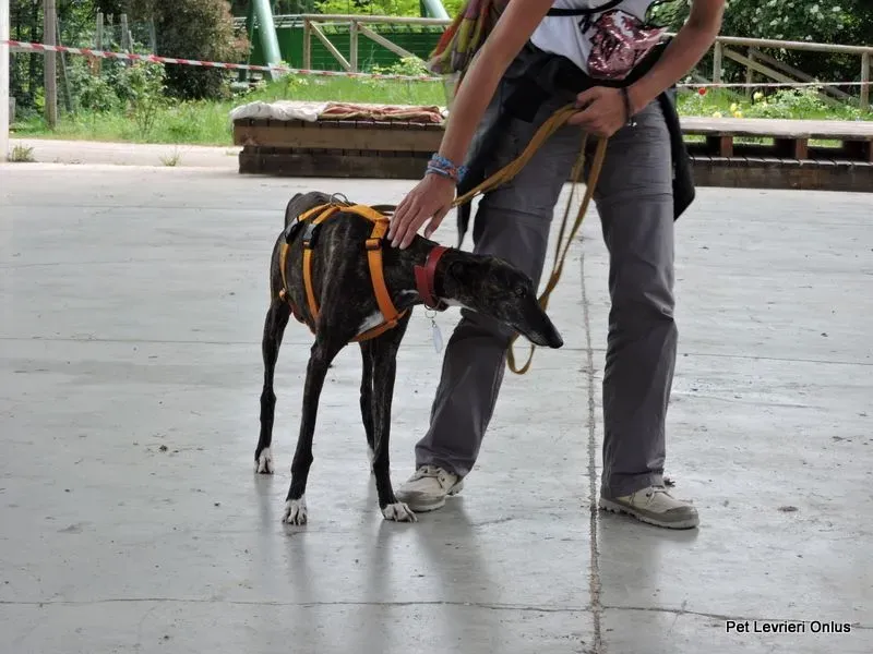 13239341 1027304054020116 7973119439080611161 n