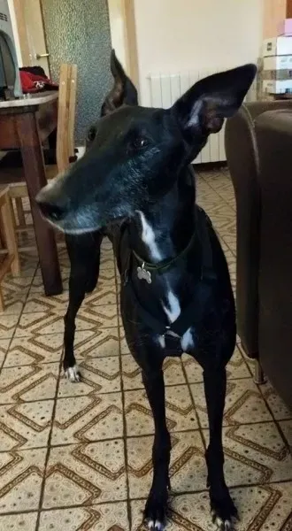 13239400 1334605499889637 1807828202619394195 n