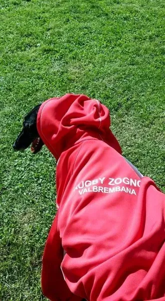 13240042 1334605179889669 6221652974983348811 n