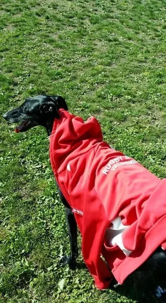 13240490 1334605036556350 8941142416524302214 n