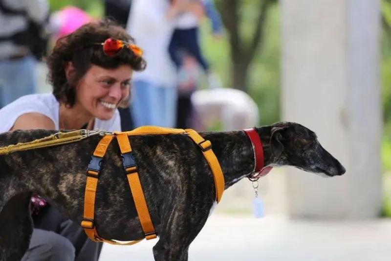 13240551 1026645297419325 5823301774269929538 n