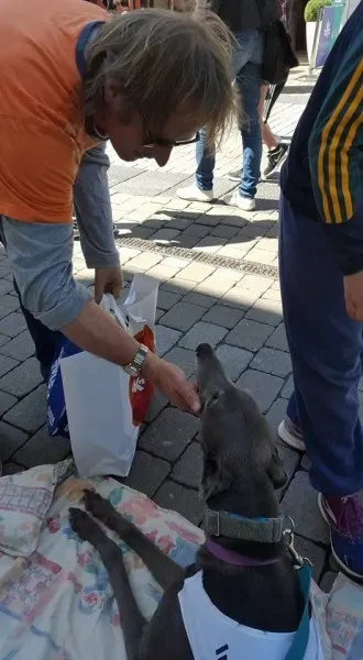 13240601 10208282029461953 1862994490063576430 n