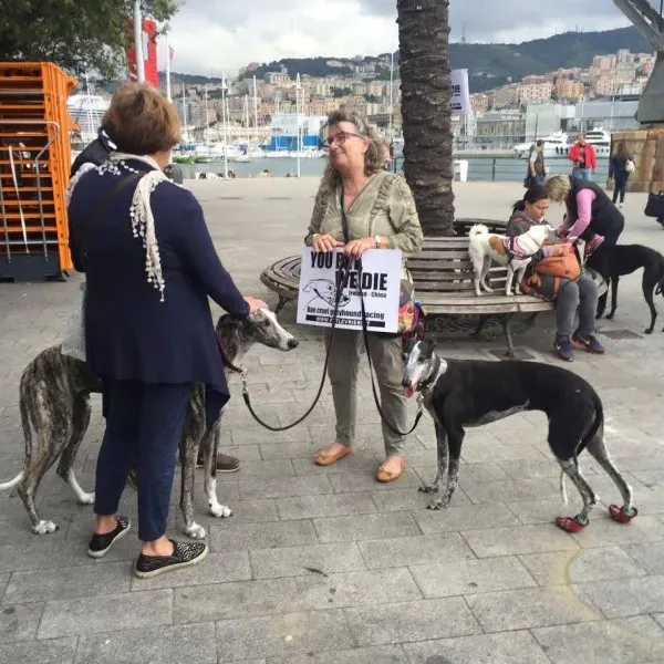 13240627 1038855656198289 1888515099252308084 n 1