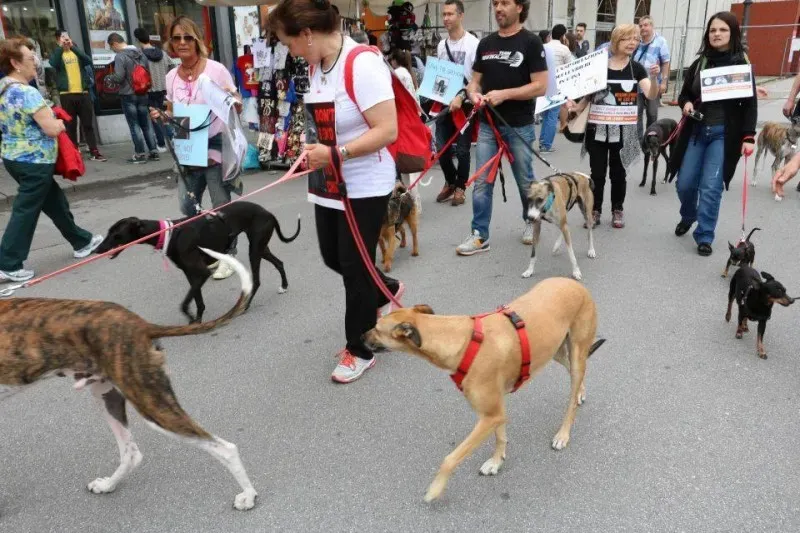 13240633 1040690019348186 5132027609260674512 n