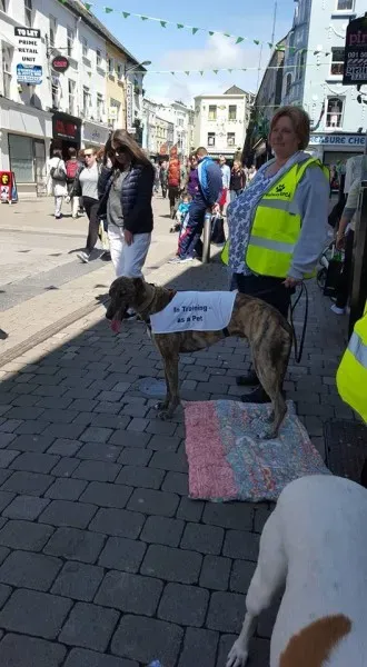 13241155 10208282028181921 1762854441755534129 n