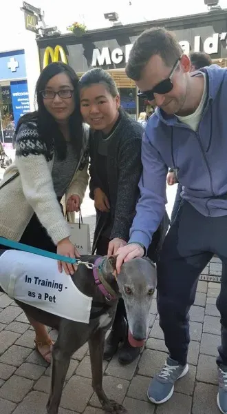 13241224 10208282036422127 1393502587070327798 n