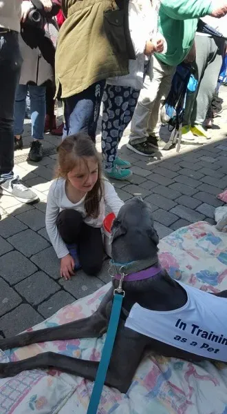 13241342 10208282031422002 3392274475374910409 n