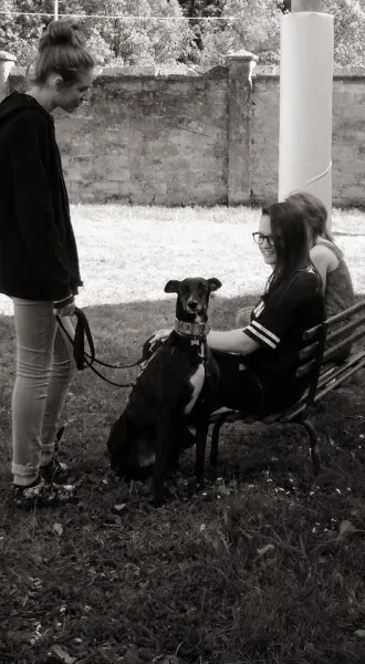 13241397 1334604756556378 5035601176489629792 n