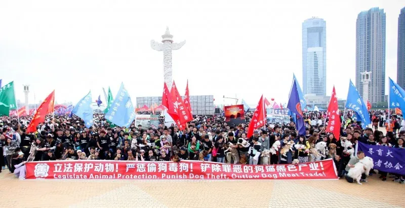 13243717 10154403656127262 4868159617012027650 o