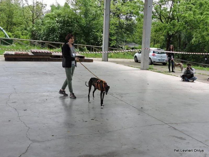 13244735 1028013987282456 5718835747779534569 n