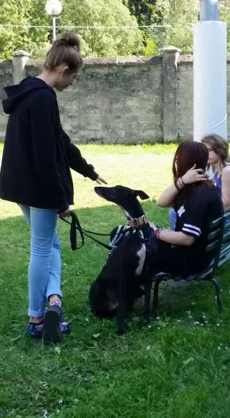 13244842 1334604999889687 81512393568705277 n