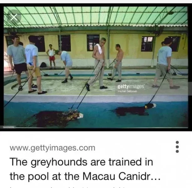 13244872 10208067974809683 6775826298918952252 n