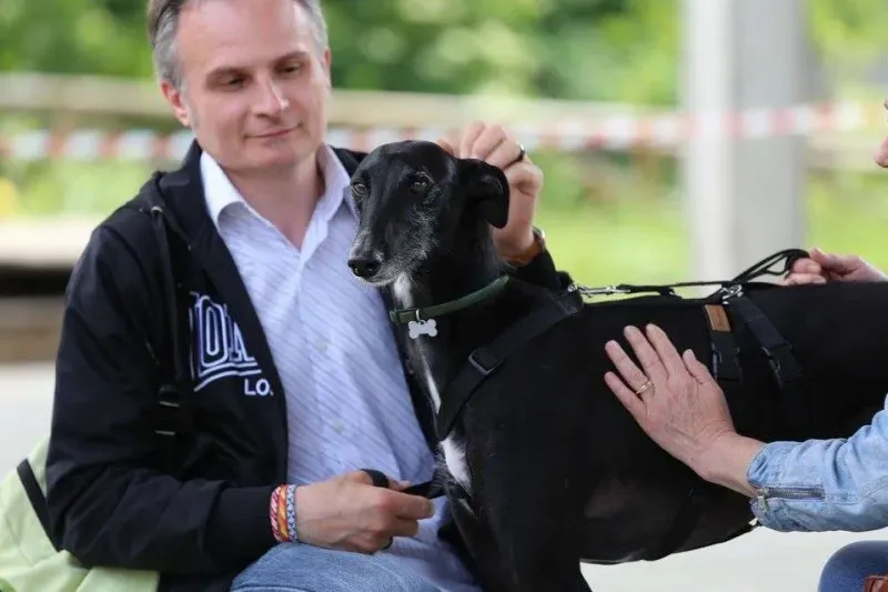 13245414 1026643647419490 4247175764726111969 n