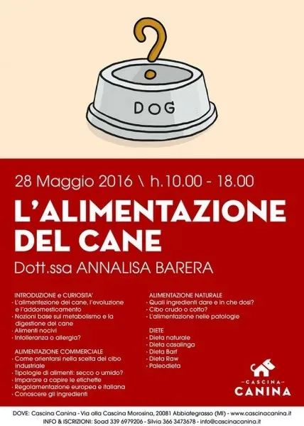 13246137 1622532094735274 694296356 n