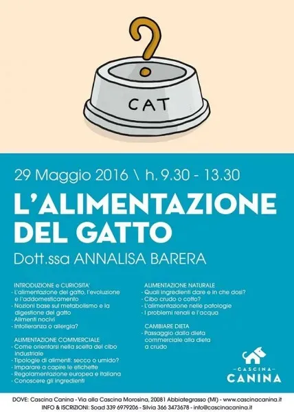 13249390 1622532098068607 971070426 n