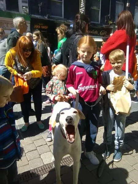 13254492 10208282034182071 4418642880269923805 n