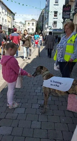 13254518 10208282026541880 4753332744379936068 n