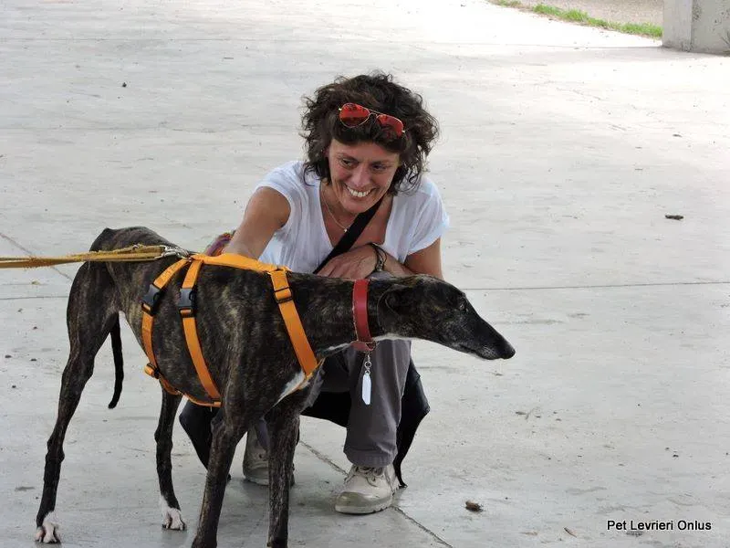 13255975 1028013320615856 4682140044406256674 n