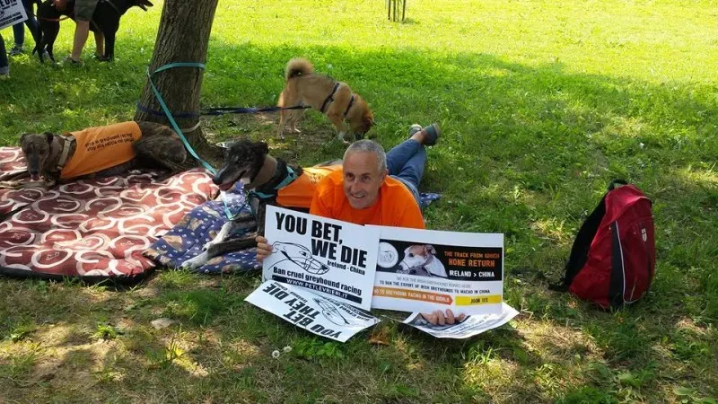 13256009 939266946171099 8472349616268665887 n