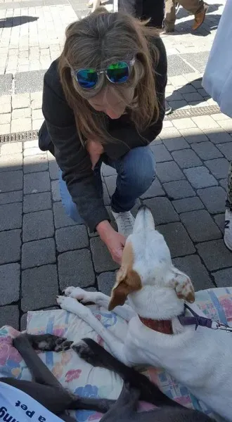 13256274 10208282028981941 1455941492829967430 n