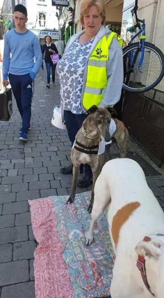 13260038 10208282030261973 7892263253186129853 n