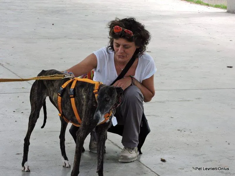 13260127 1028013333949188 8072225460324770910 n