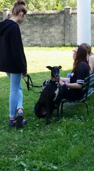 13260276 1334604799889707 8372836186232459293 n