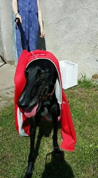 13266049 1334605219889665 6276007404557267296 n