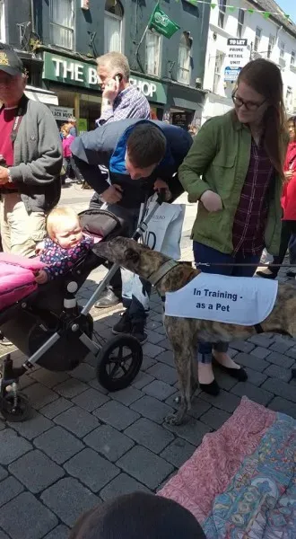 13267696 10208282029901964 5329222238839423015 n