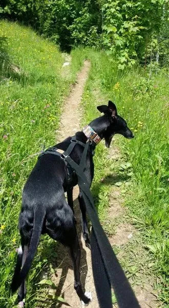 13267808 1334604729889714 9105538930085256981 n