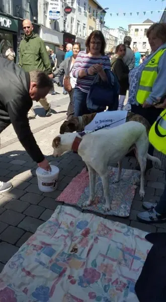 13269259 10208282034942090 8140418837610438488 n