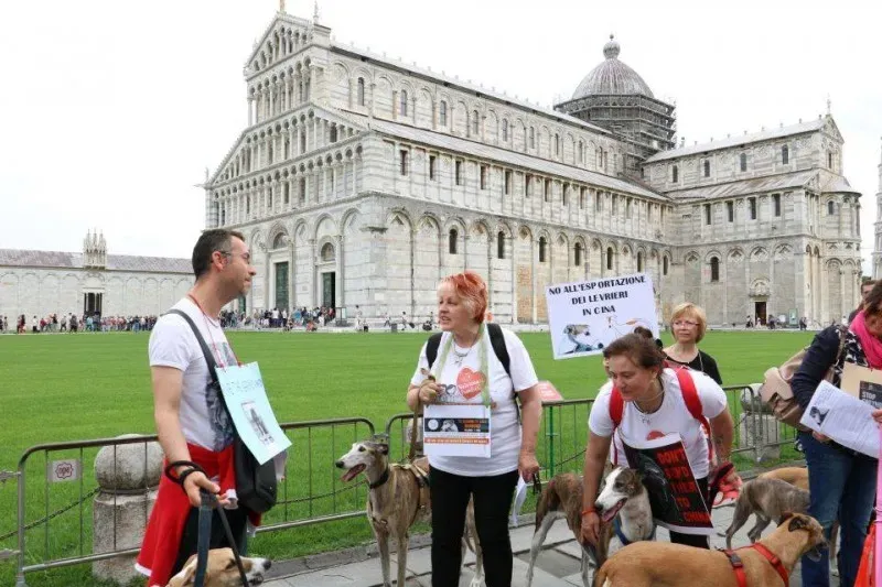 13269290 1040688449348343 7173662992556910818 n