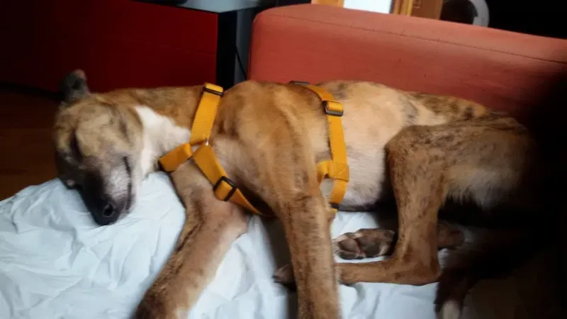 13301243 10208563681722913 6443883676357287557 o