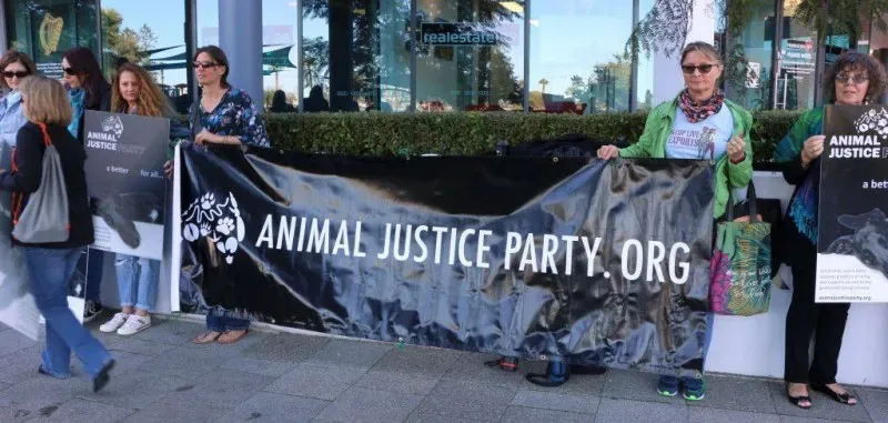 13301249 1123912931028397 7670887377630173777 o