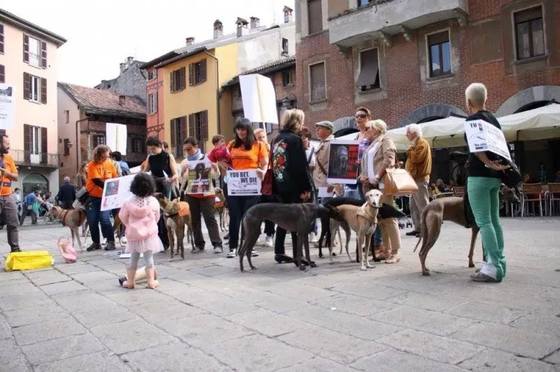 13301276 1038711619546026 1444854226406748385 o