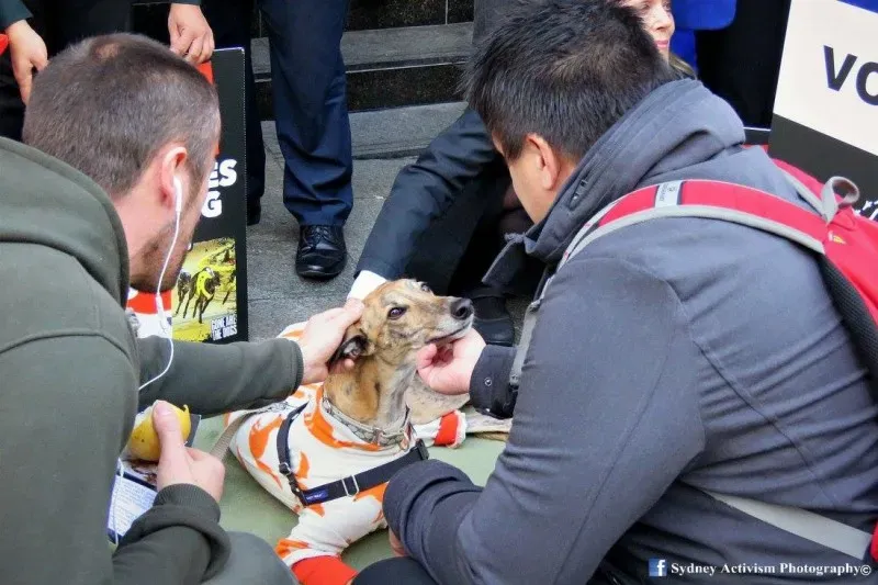 13301373 1781624545457311 5520314677269568506 o