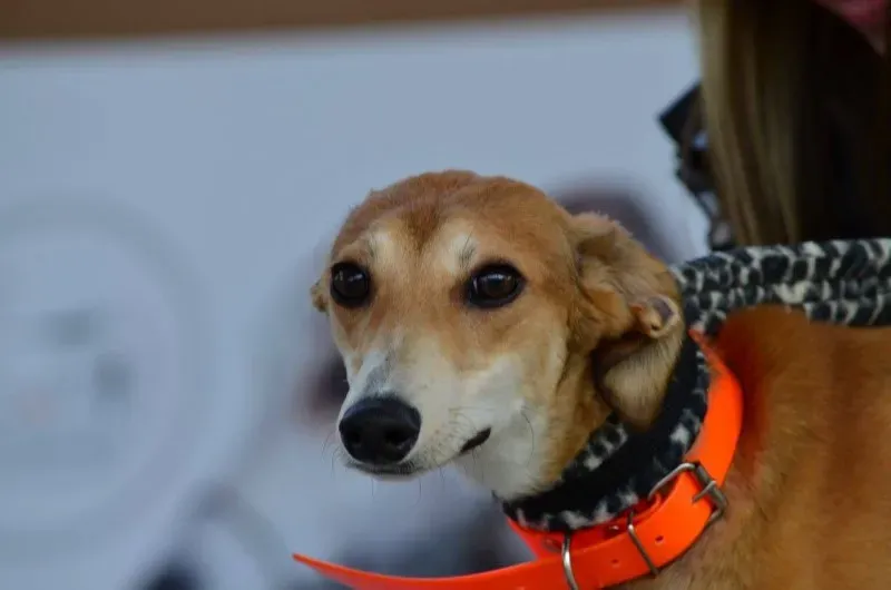 13301425 1036344993116022 6398475883298588936 o