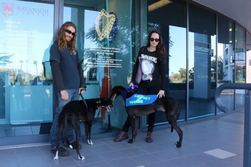 13301476 1123913427695014 5101920029137519643 o