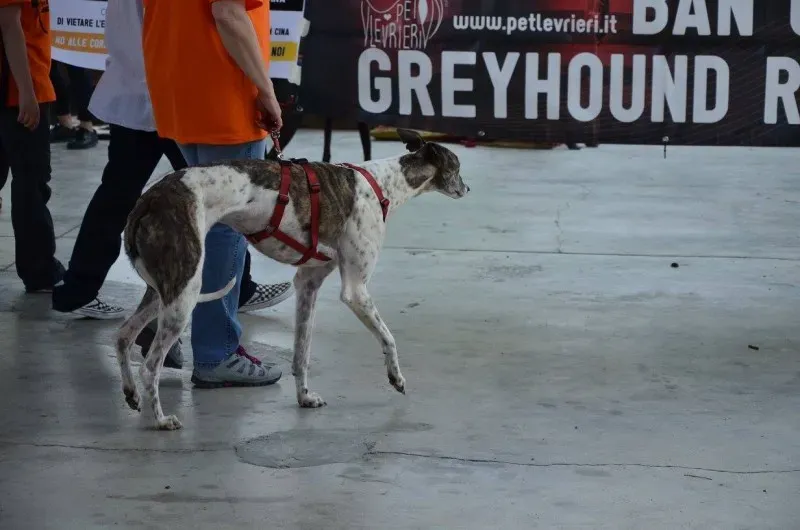 13304944 1036327569784431 4722982918909117358 o