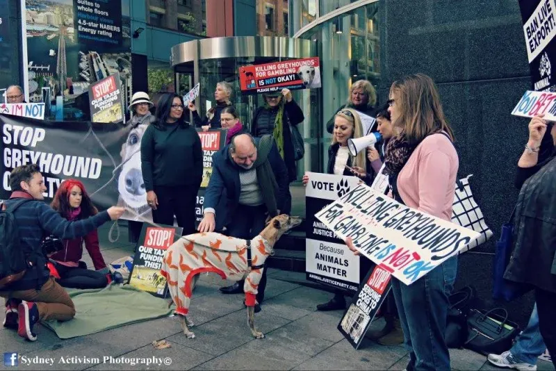 13305036 1781624232124009 3082025757384994794 o