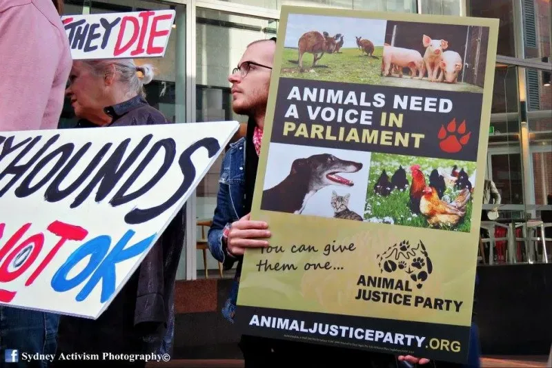 13305038 1781624368790662 4678967285132858184 o