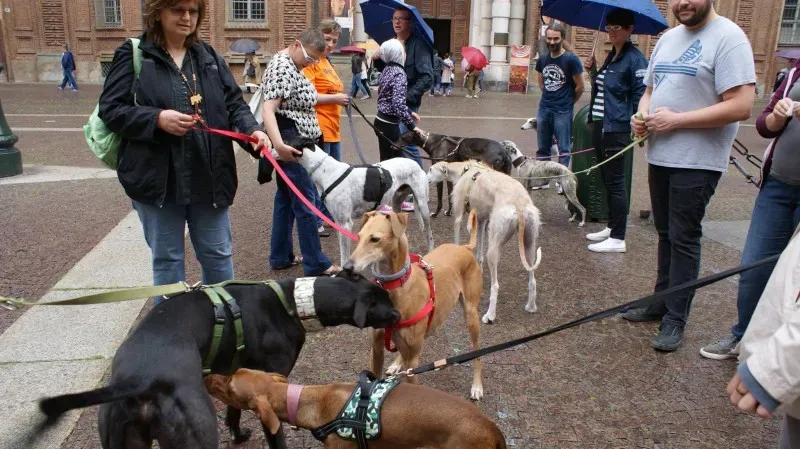 13305061 1038476766236178 4490599621285415415 o 1