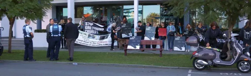 13305087 1123912847695072 6558819429048011501 o