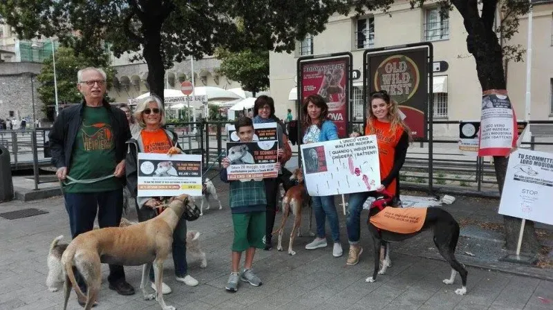 13305145 1038856016198253 5697494091001345725 o 1