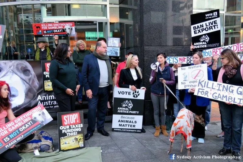 13305146 1781624132124019 4635514770148510711 o