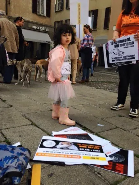 13307258 1038713929545795 3992138044639420040 n