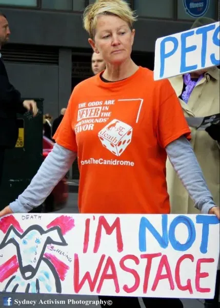 13307329 1781624062124026 1975825489300408314 n