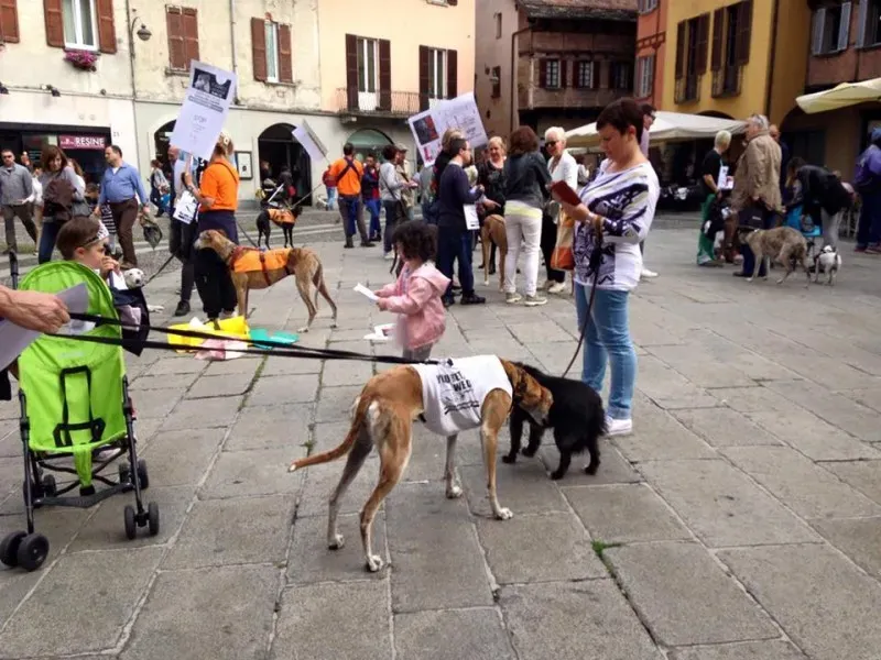 13307375 1038713789545809 4447578622697534052 n