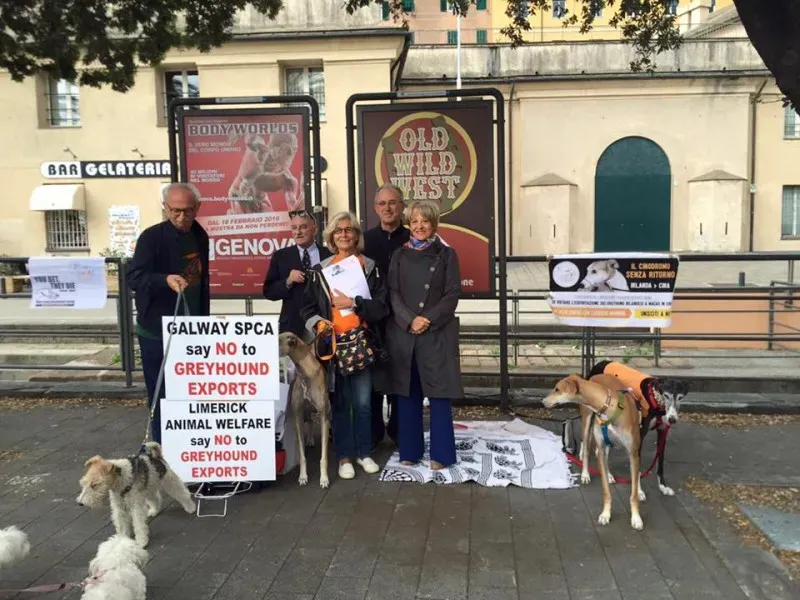 13307429 1038859932864528 777597762661835022 n 1